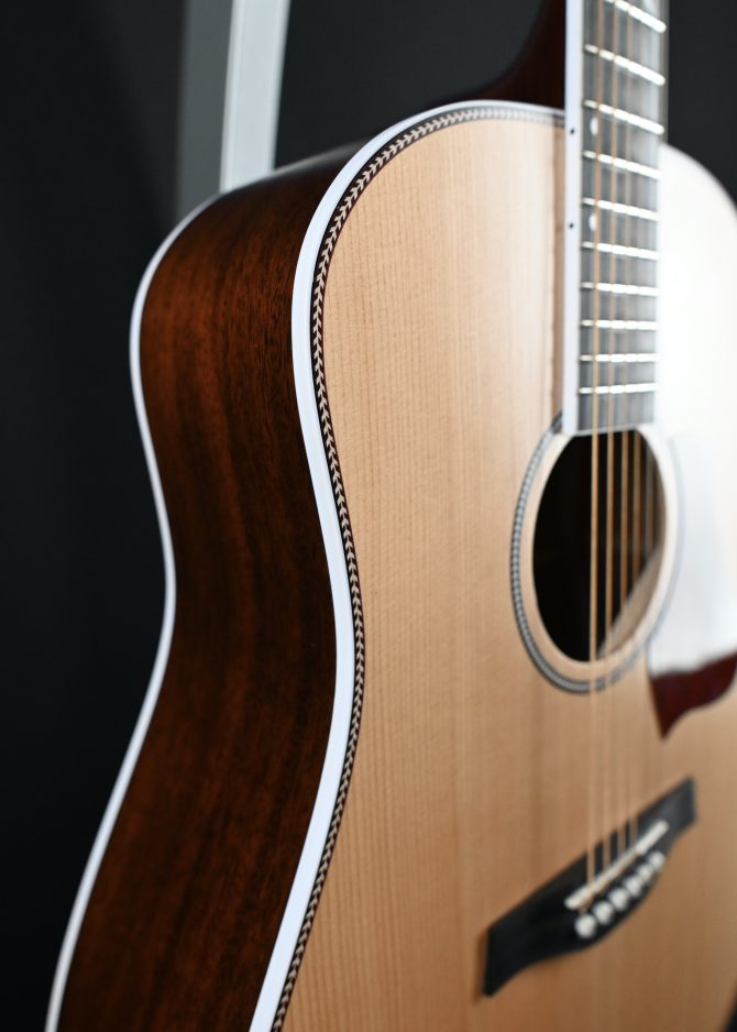 Seagull Seagull Artist Mosaic Anthem EQ Natural 2025
