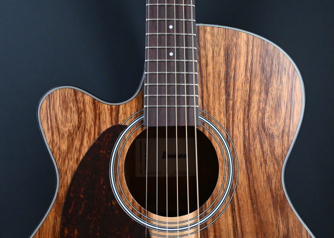 Ibanez PC50WSLCE-OPB Open Pore Brown Acoustic Guitar #041
