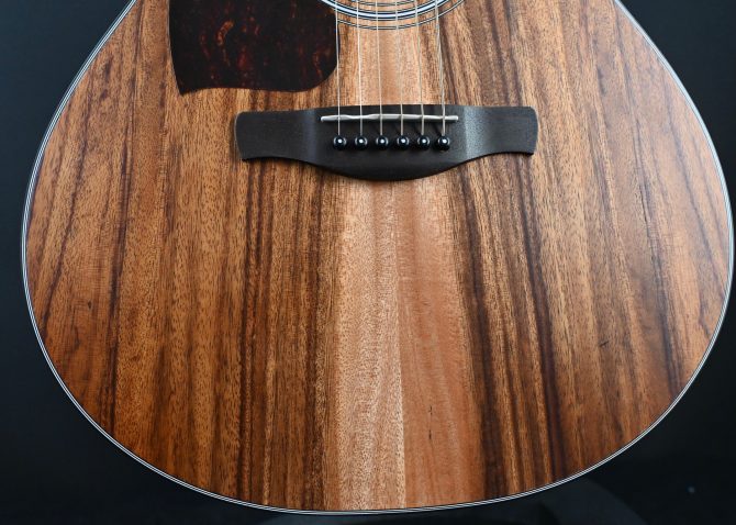 Ibanez PC50WSLCE-OPB Open Pore Brown Acoustic Guitar #035