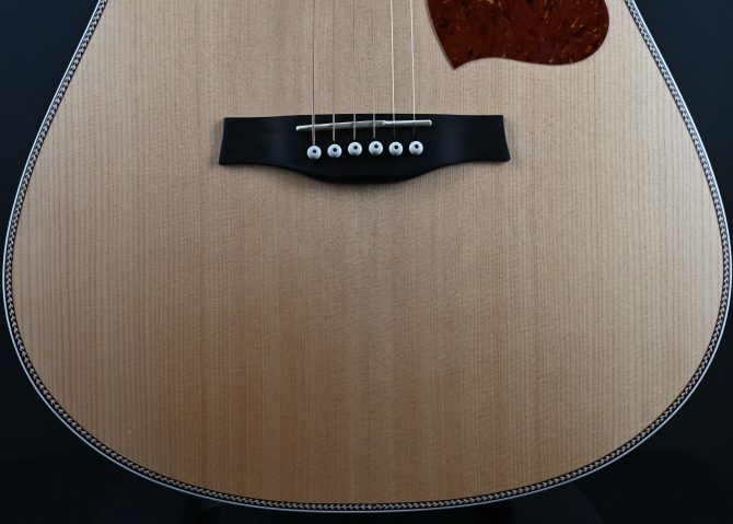 Seagull Seagull Artist Mosaic Anthem EQ Natural 2025