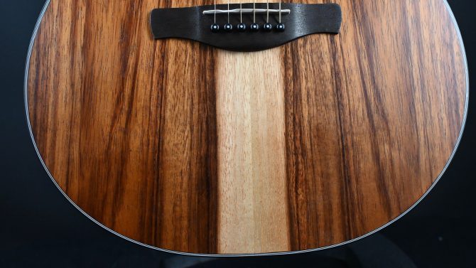 Ibanez PC50WSLCE-OPB Open Pore Brown Acoustic Guitar #041