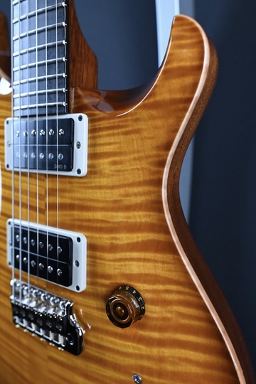 PRS Custom 24 "Birds of a Feather" Limited Edition Honey Gold #905
