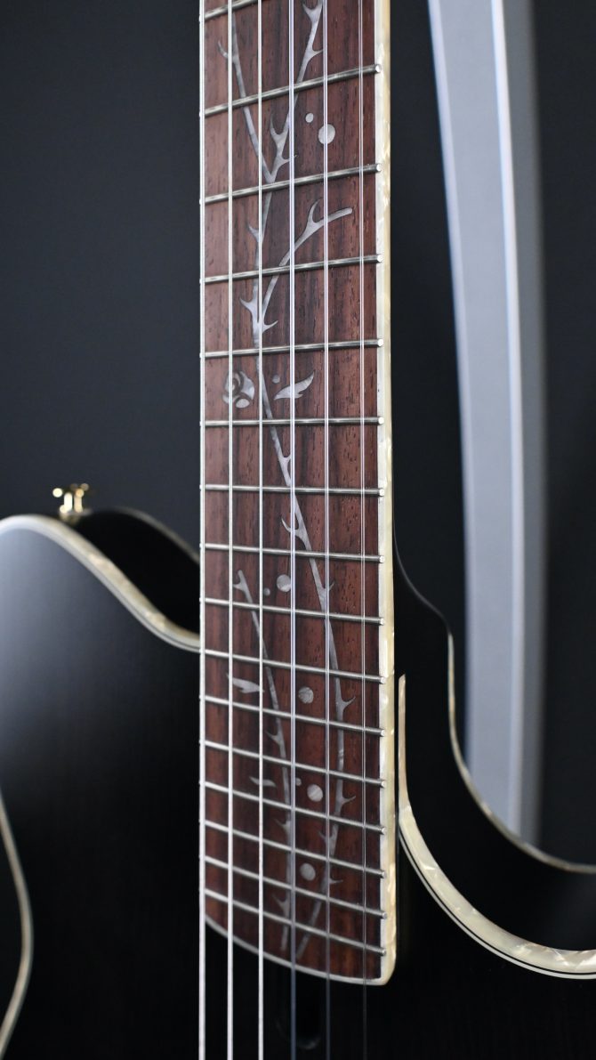Ibanez TOD10N-TKF Transparent Black Flat 2024