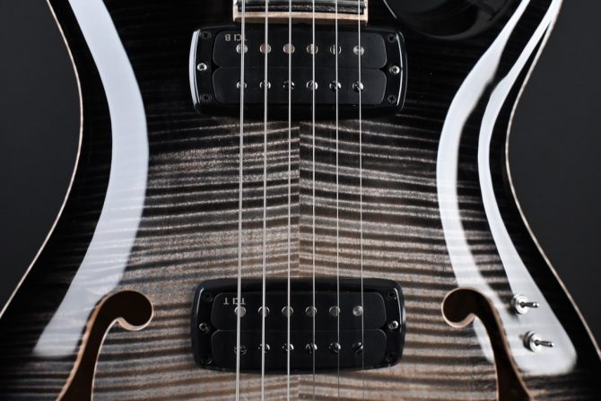 PRS Private Stock 30th Anniversary "Birds of a Feather" Hollowbody I #239