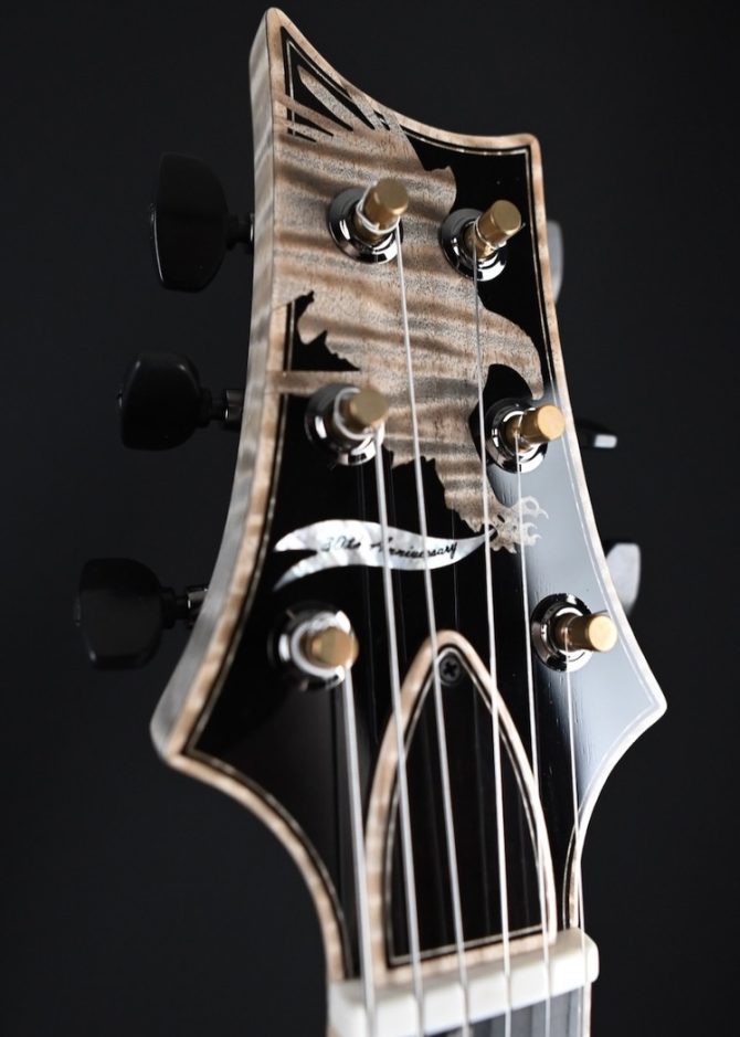 PRS Private Stock 30th Anniversary "Birds of a Feather" Hollowbody I #239
