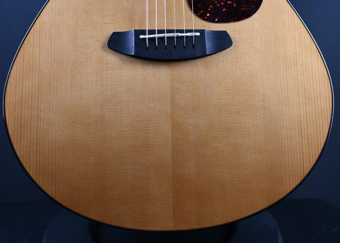Breedlove Performer Pro Concerto A-CE 2023