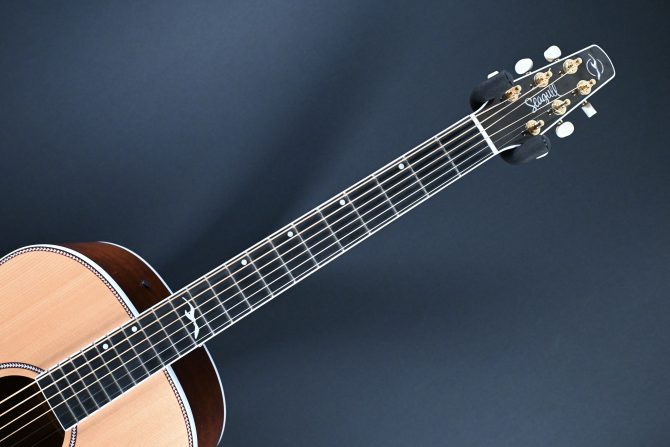 Seagull Seagull Artist Mosaic Anthem EQ Natural 2025