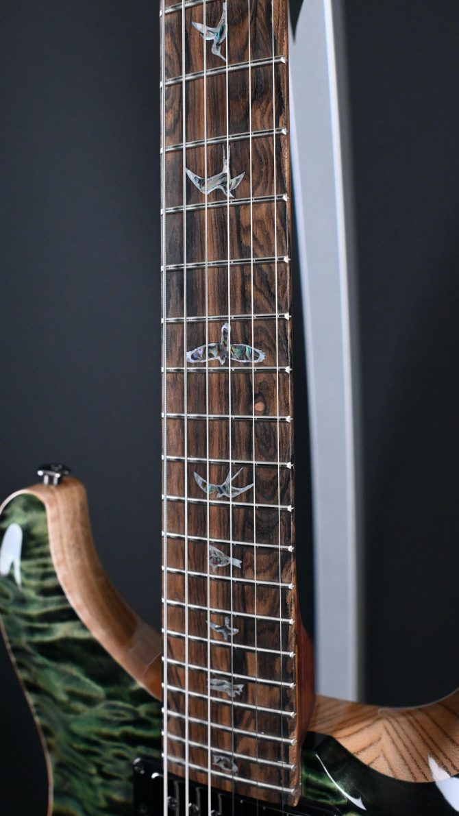 PRS Wood Library Custom 24 Semi-Hollow Quilt 10-Top Sage #655