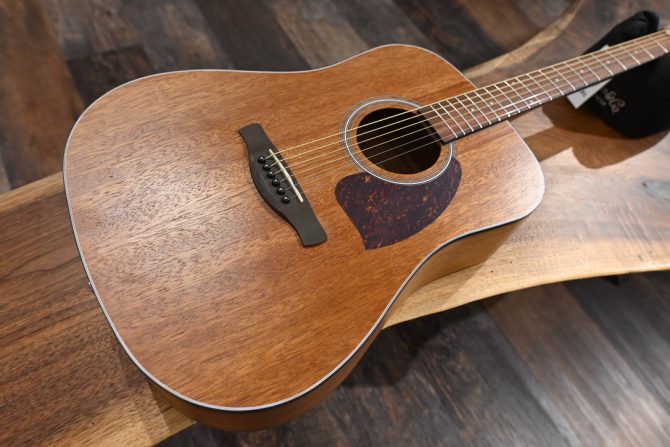 Ibanez PF54-OPN Open Pore Natural #362