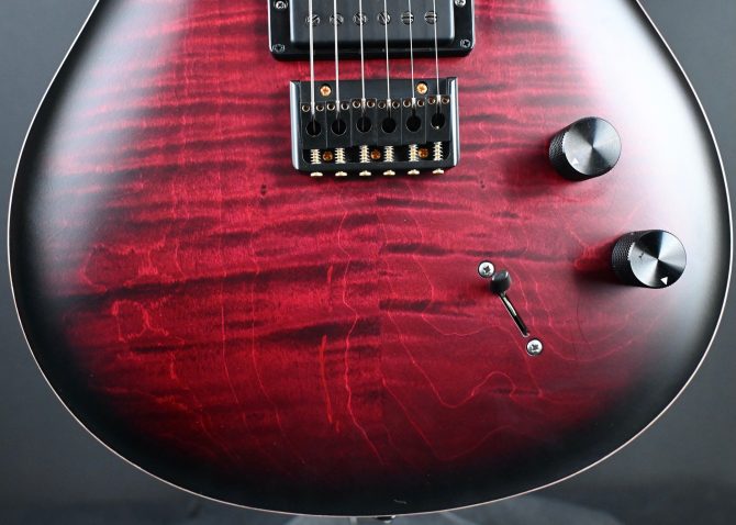 2023 PRS Limited Edition DW CE 24 Hardtail Waring Burst