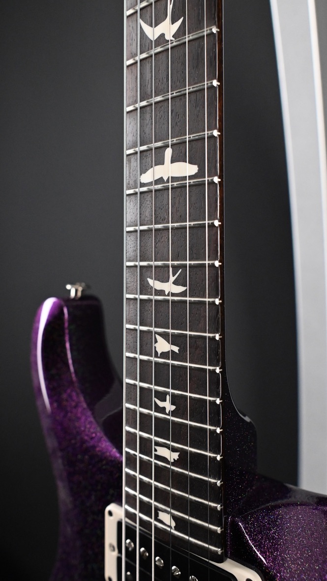 PRS S2 Custom 24 Sprayer's Choice Metallic Purple Sparkle #752