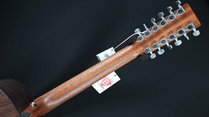 Martin D-X2E Brazilian 12-String #765