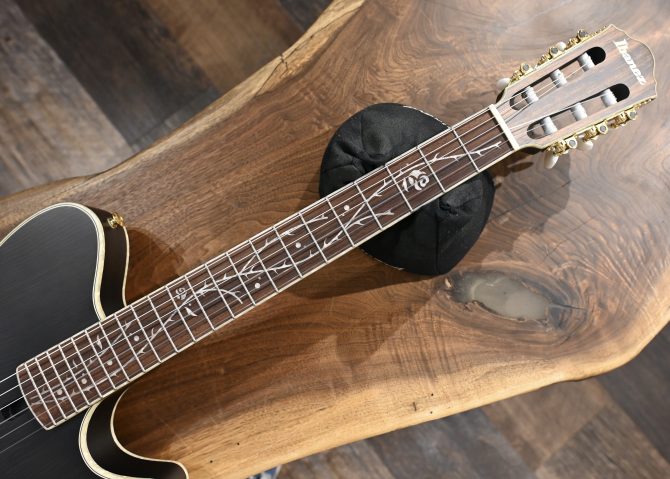 Ibanez TOD10N-TKF Transparent Black Flat 2024