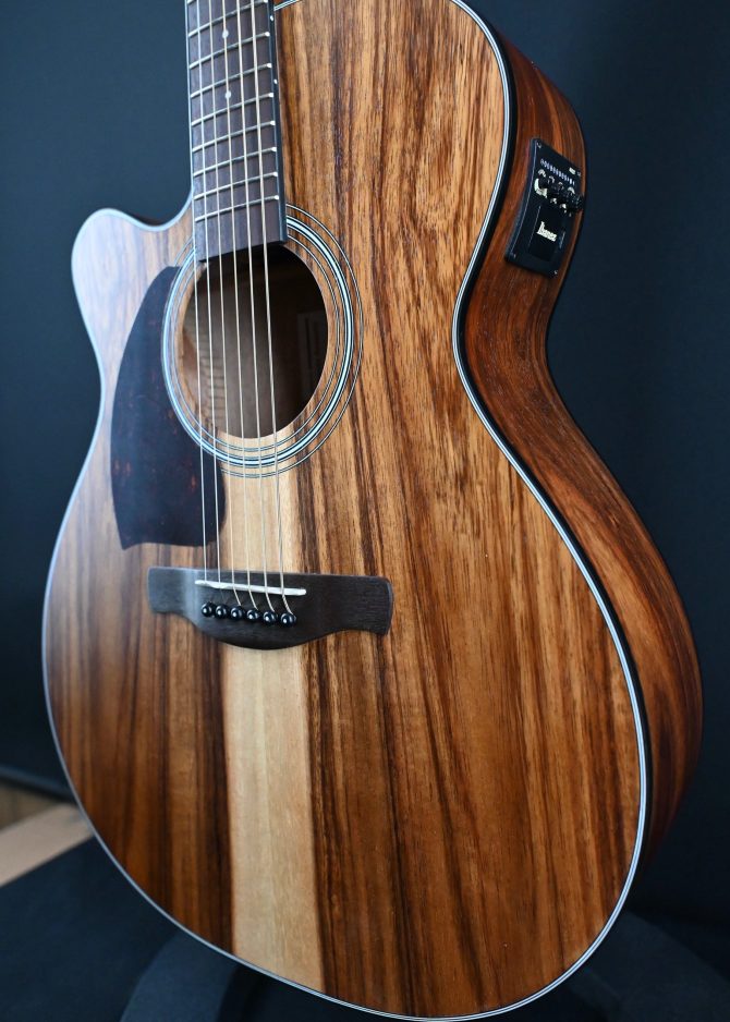 Ibanez PC50WSLCE-OPB Open Pore Brown Acoustic Guitar #041