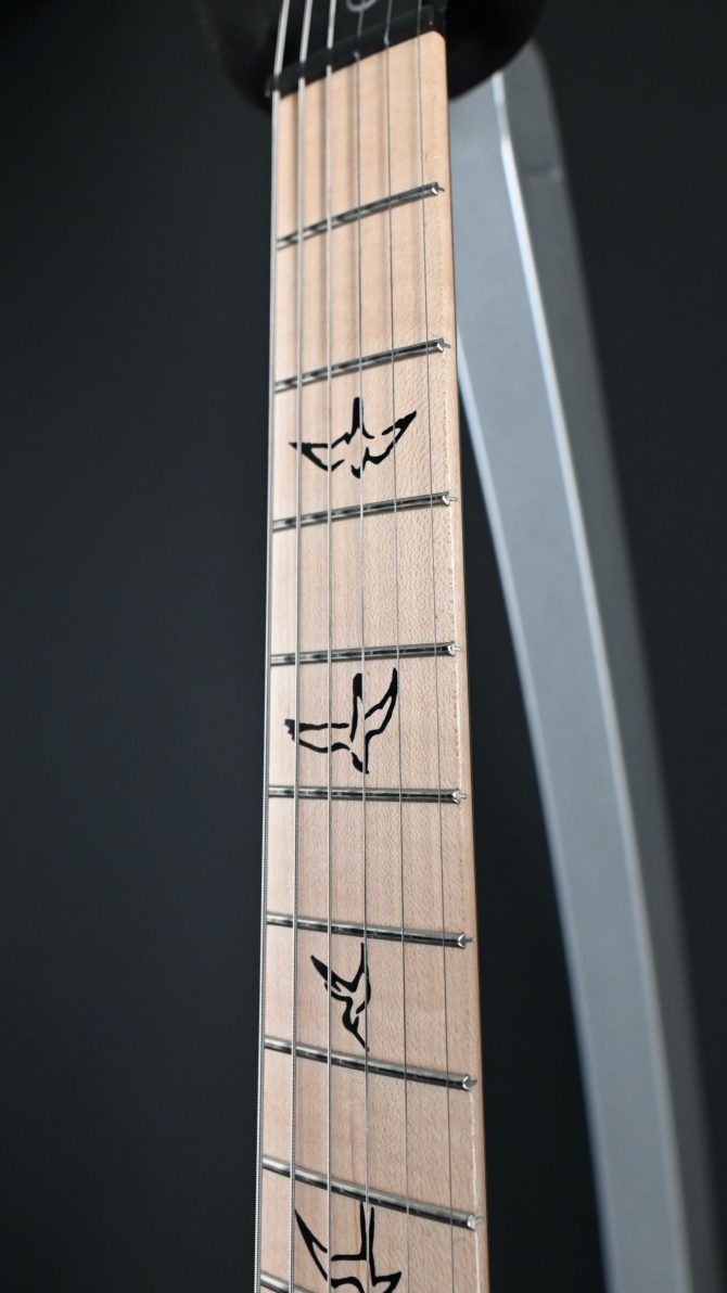 2023 PRS Limited Edition DW CE 24 Hardtail Waring Burst