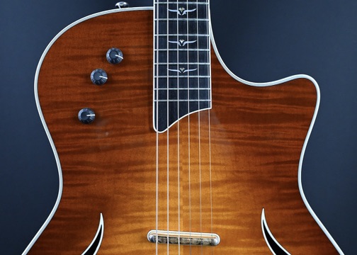 Taylor T5C1 Custom Maple Honey Sunburst 2007