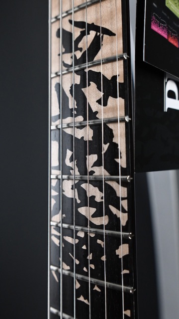 PRS Custom 24 "Birds of a Feather" Limited Edition Charcoal Microburst #532