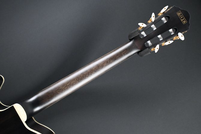Ibanez TOD10N-TKF Transparent Black Flat 2024