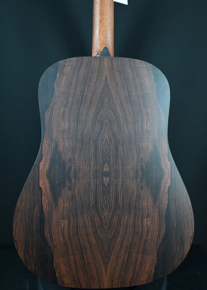 Martin D-X2E Brazilian 12-String #765