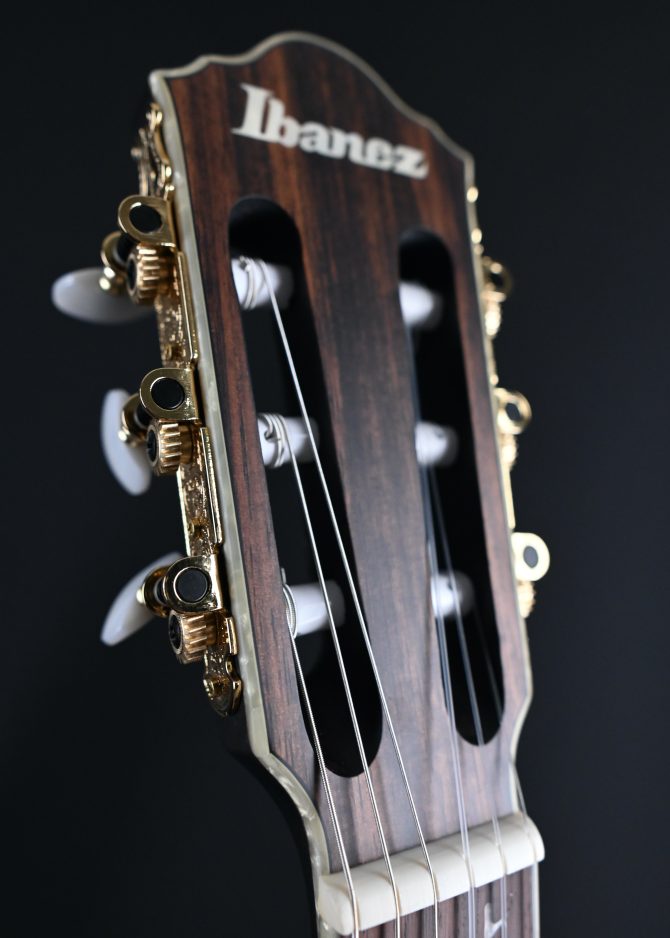 Ibanez TOD10N-TKF Transparent Black Flat 2024