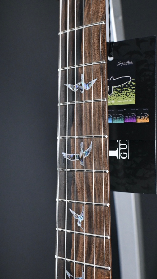 PRS Wood Library Custom 24 Semi-Hollow Quilt 10-Top Nightshade #657