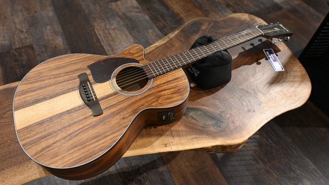 Ibanez PC50WSLCE-OPB Open Pore Brown Acoustic Guitar #041