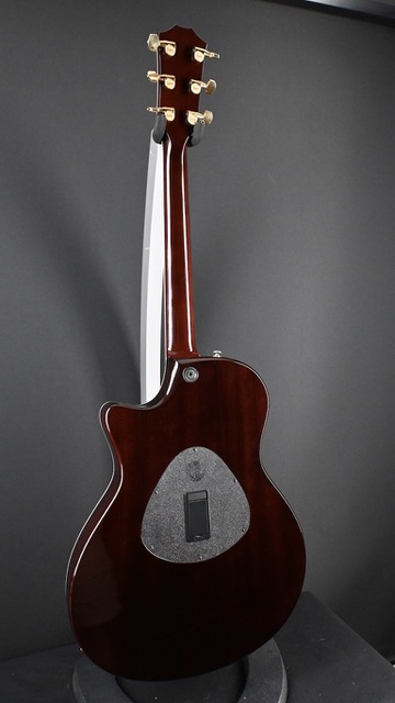 Taylor T5C1 Custom Maple Honey Sunburst 2007