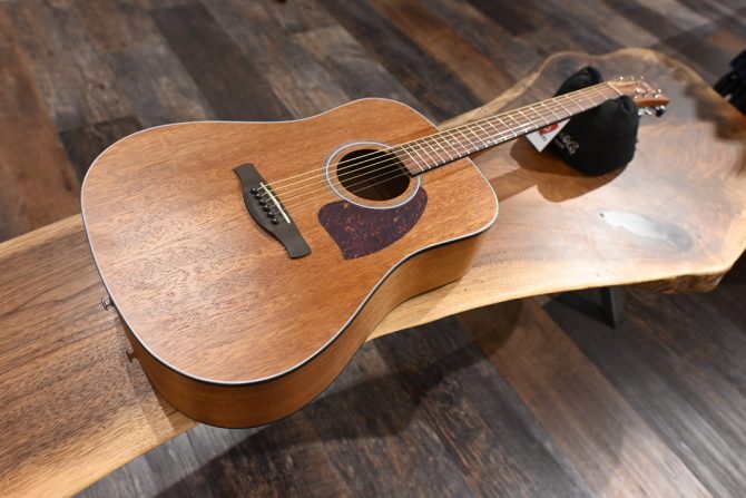 Ibanez PF54-OPN Open Pore Natural #362