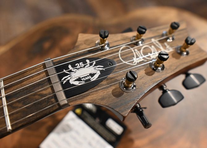 PRS Wood Library Custom 24 Semi-Hollow Quilt 10-Top Sage #655