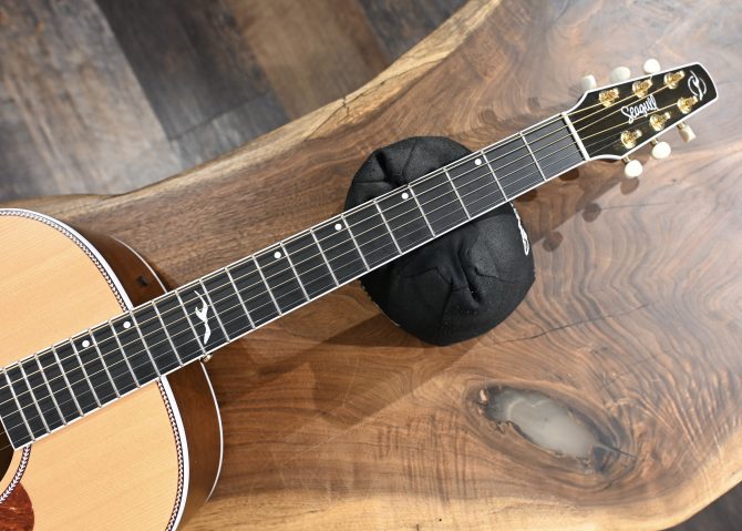 Seagull Seagull Artist Mosaic Anthem EQ Natural 2025