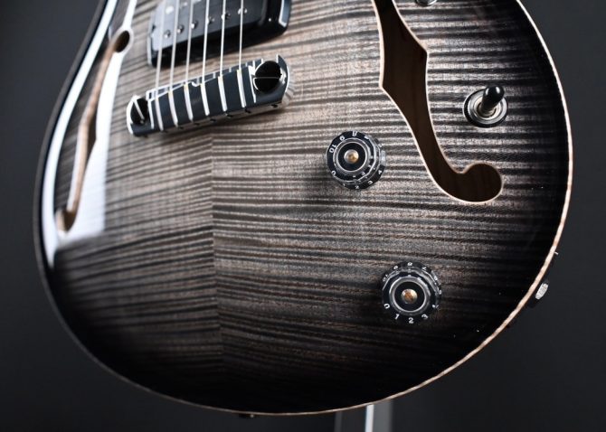 PRS Private Stock 30th Anniversary "Birds of a Feather" Hollowbody I #239