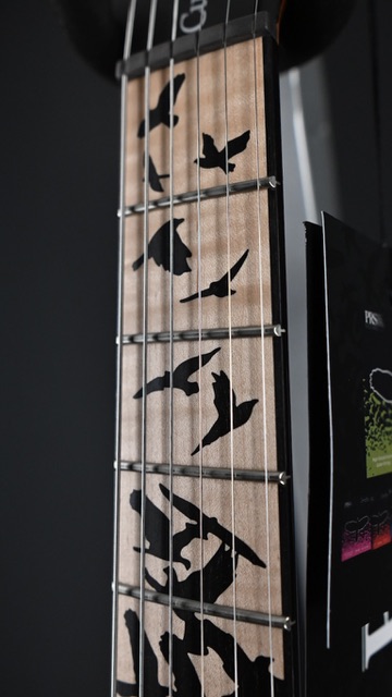 PRS Custom 24 "Birds of a Feather" Limited Edition Charcoal Microburst #532