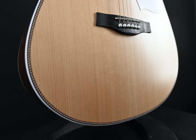 Seagull Seagull Artist Mosaic Anthem EQ Natural 2025