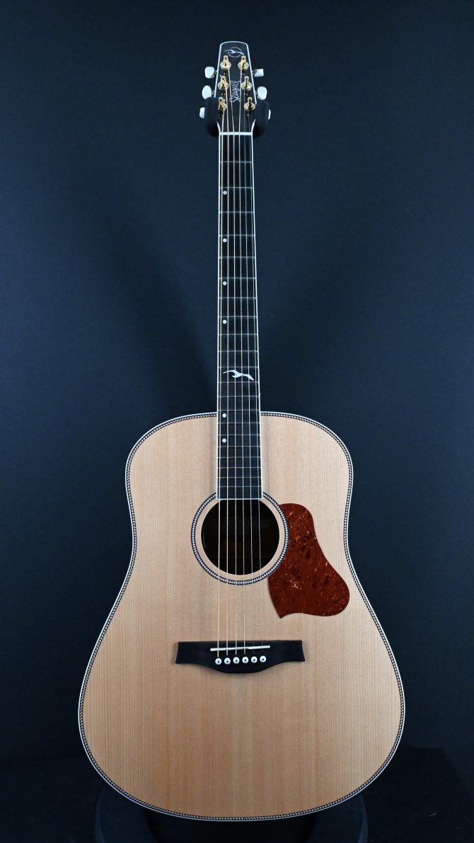 Seagull Seagull Artist Mosaic Anthem EQ Natural 2025