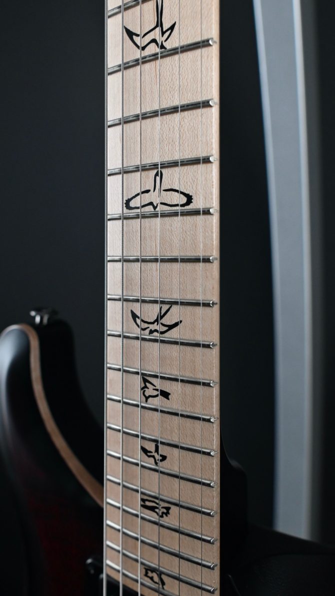 2023 PRS Limited Edition DW CE 24 Hardtail Waring Burst