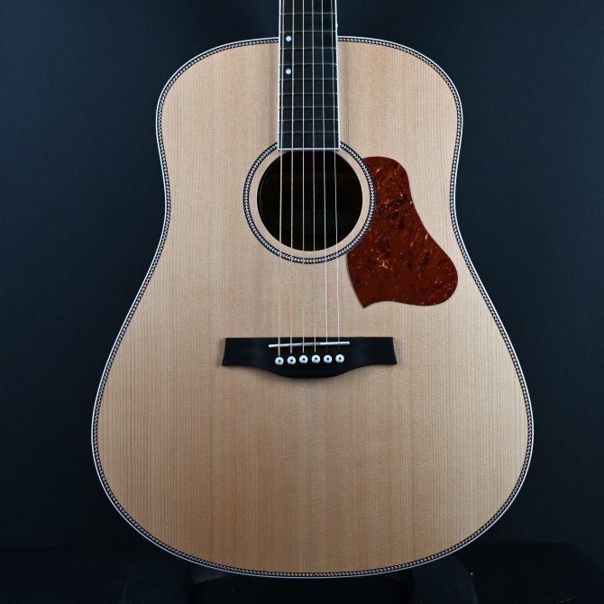 Seagull Seagull Artist Mosaic Anthem EQ Natural 2025