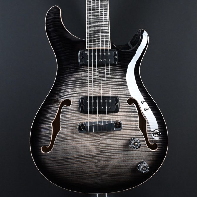 PRS Private Stock 30th Anniversary "Birds of a Feather" Hollowbody I #239