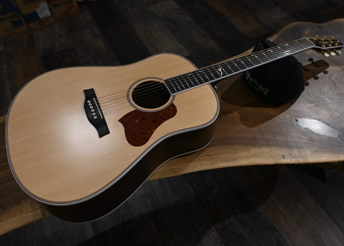 Seagull Seagull Artist Mosaic Anthem EQ Natural 2025