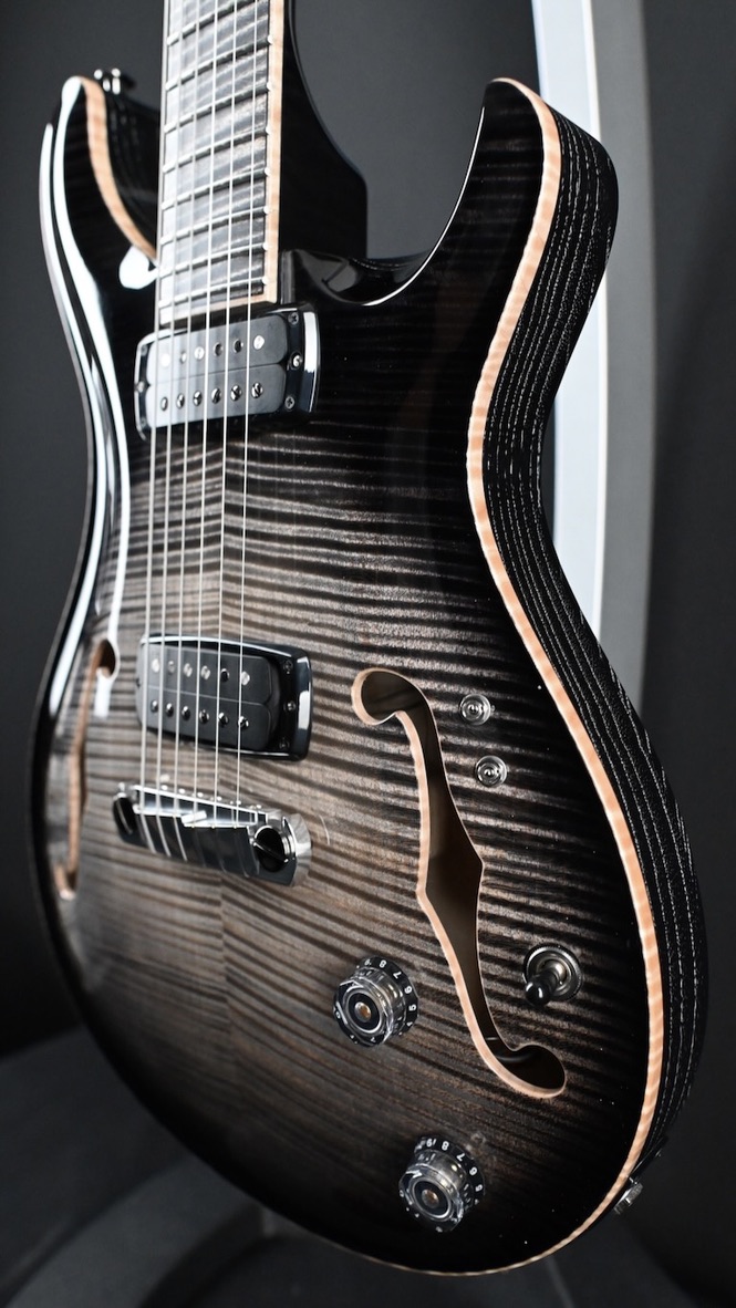PRS Private Stock 30th Anniversary "Birds of a Feather" Hollowbody I #239