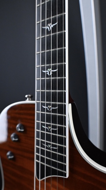 Taylor T5C1 Custom Maple Honey Sunburst 2007