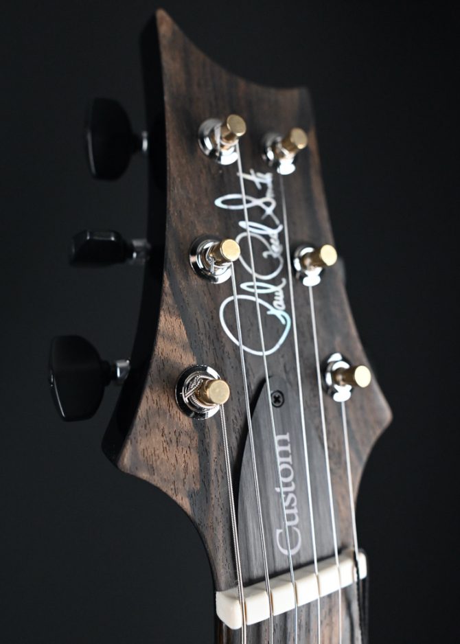 PRS Wood Library Custom 24 Stoptail Limited Edition Purple Mist #304