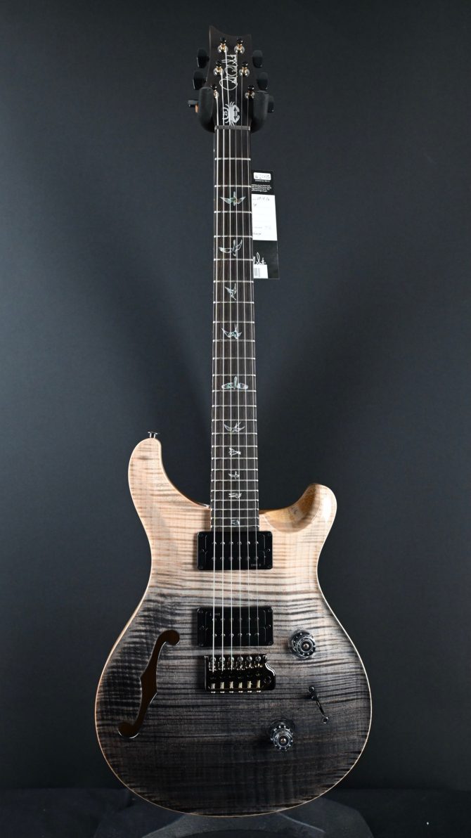 PRS Wood Library Custom 24 Semi-Hollow One-Piece Artist Grade Top Frostbite #013