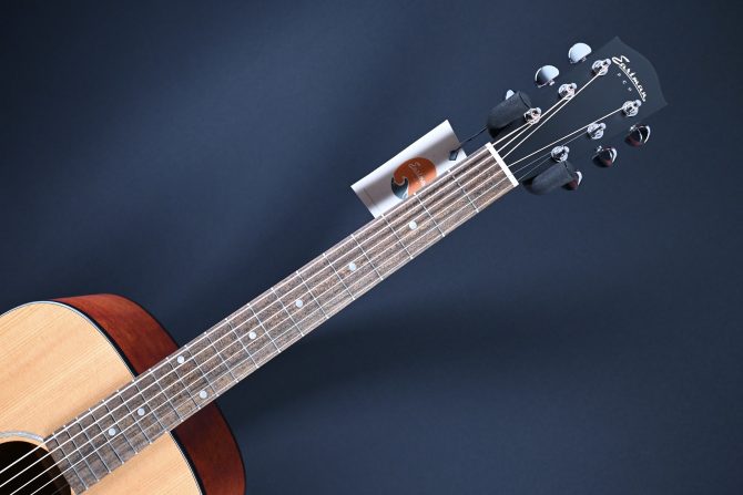 Eastman PCH1-D Dreadnought Natural #677