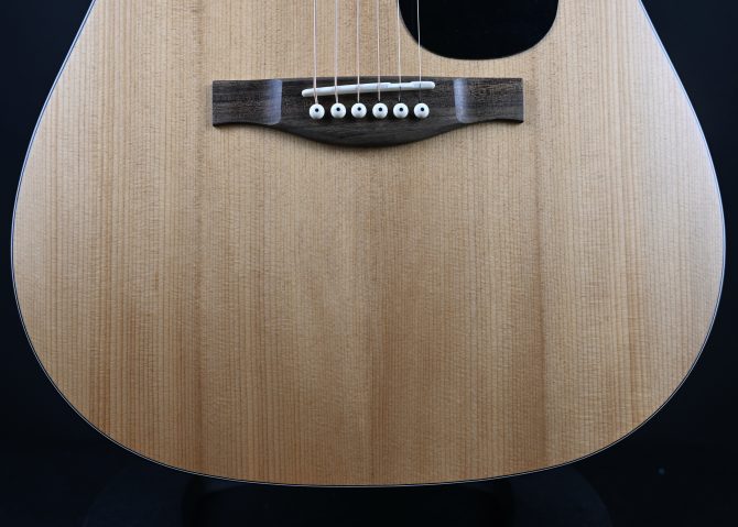Eastman PCH1-D Dreadnought Natural #677