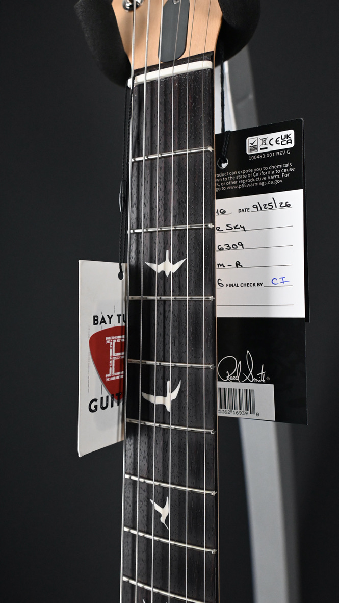 PRS Silver Sky Rosewood Venetian Blue #309
