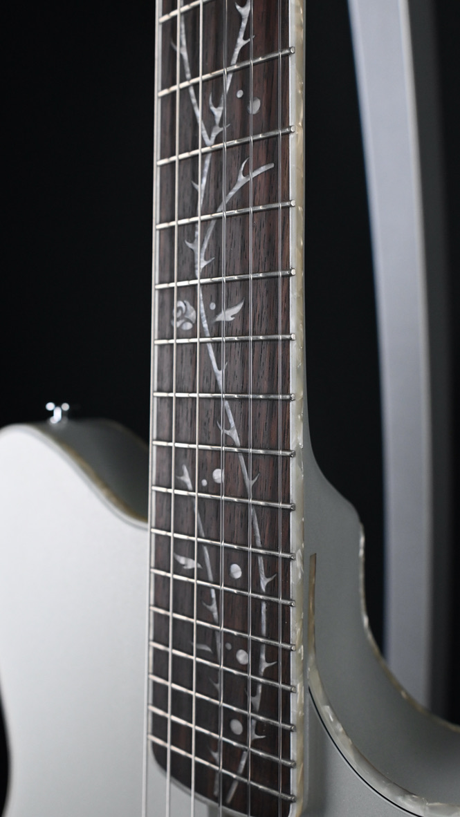 Ibanez TOD10N-SMF Silver Metallic Flat #754