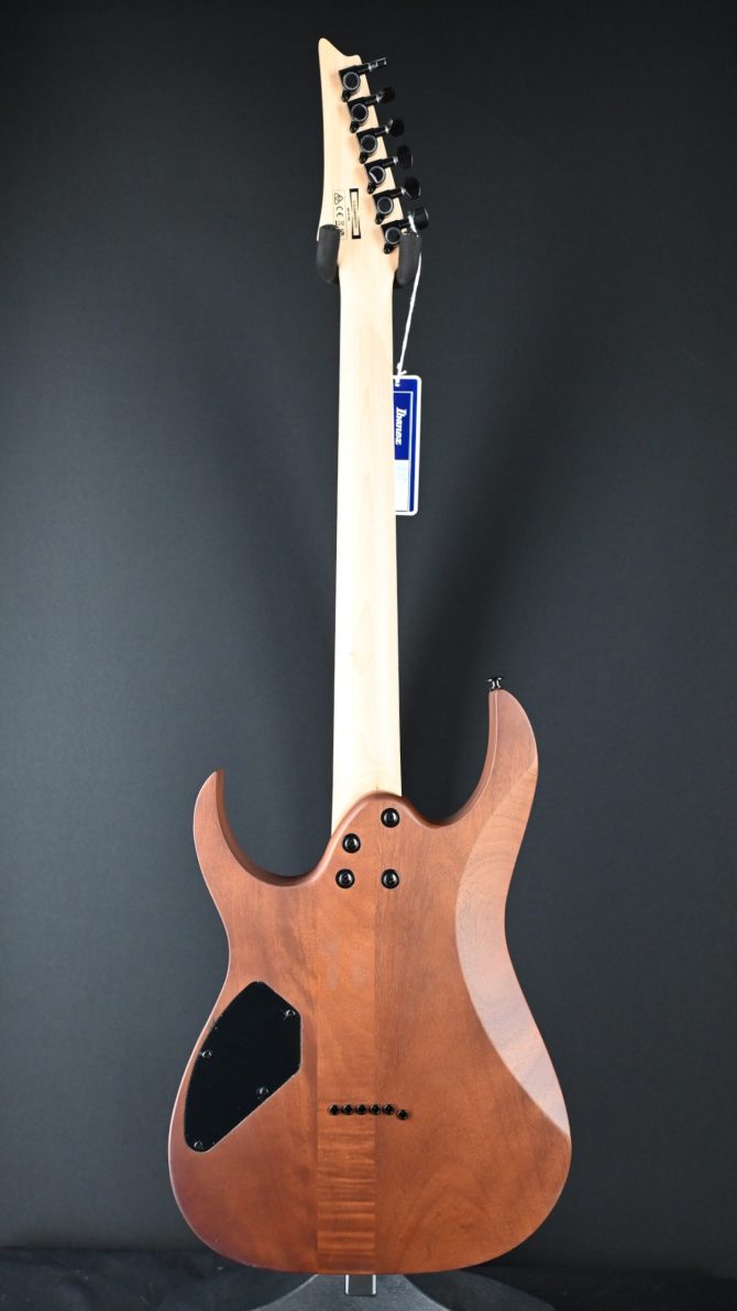 Ibanez Gio Series GRG121DX-WNF Walnut Flat #555