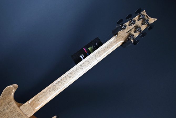 PRS Wood Library Custom 24 Semi-Hollow One-Piece Artist Grade Top Frostbite #013