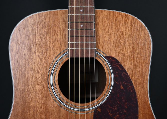 Ibanez PF54-OPN Open Pore Natural #371