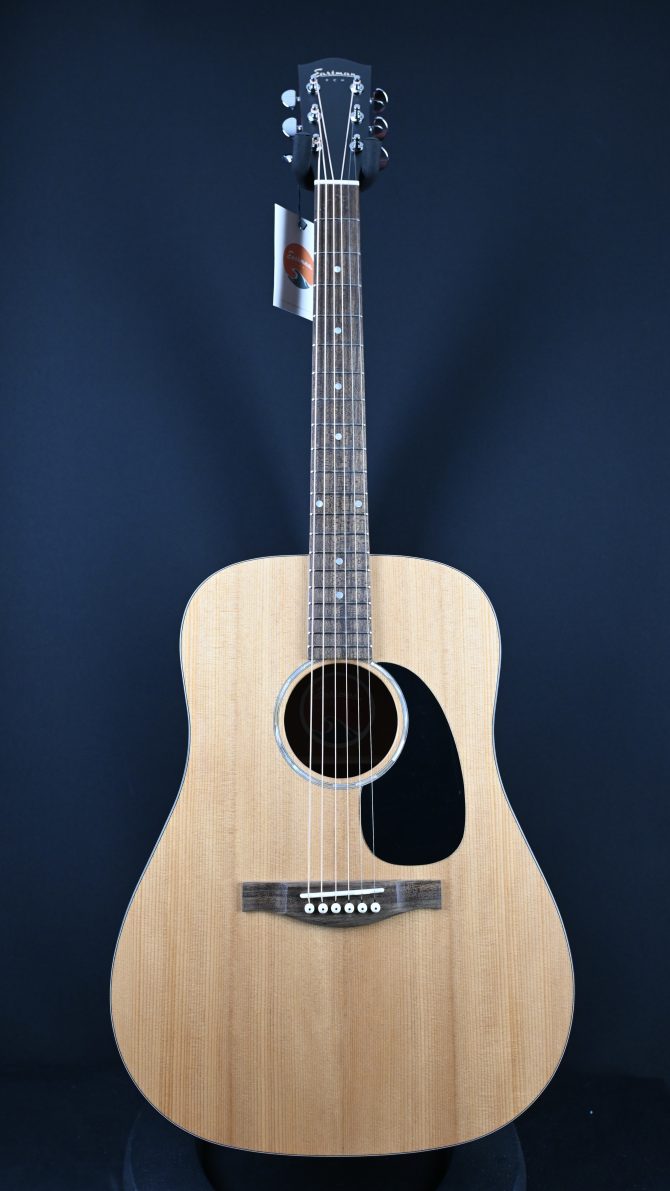 Eastman PCH1-D Dreadnought Natural #677